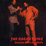 The Ragga Twins - Reggae Owes Me Money Album - Click to purchase this album